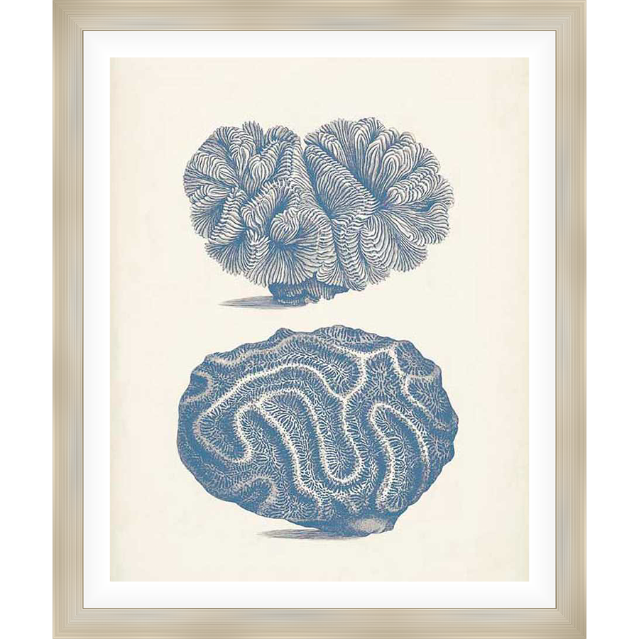 Delicate oceanic coral illustrations are printed on premium archival paper to capture the beauty of the sea. This captivating artwork is perfect for bringing a touch of coastal charm to any space.