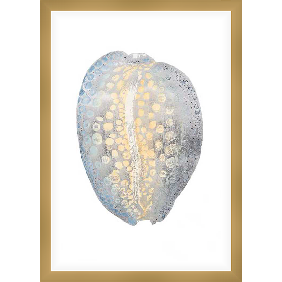 A serene seashell print showcases a beautiful blend of colors and textures. This art piece will be a delicate addition to any space, bringing a touch of coastal charm.