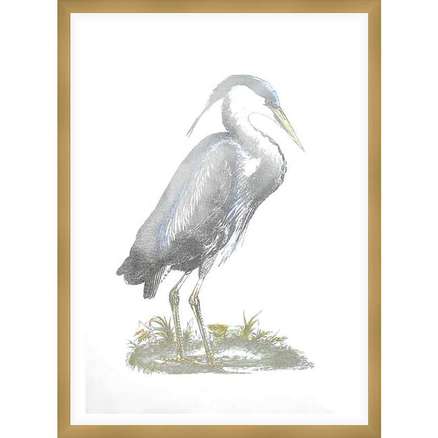This detailed artwork depicts a graceful heron in a classical style, rendered in muted tones and subtle shading. The bird is shown in profile, with a sharp beak and elongated neck, standing amongst delicate grasses. The print is a timeless piece that will elevate any interior space.