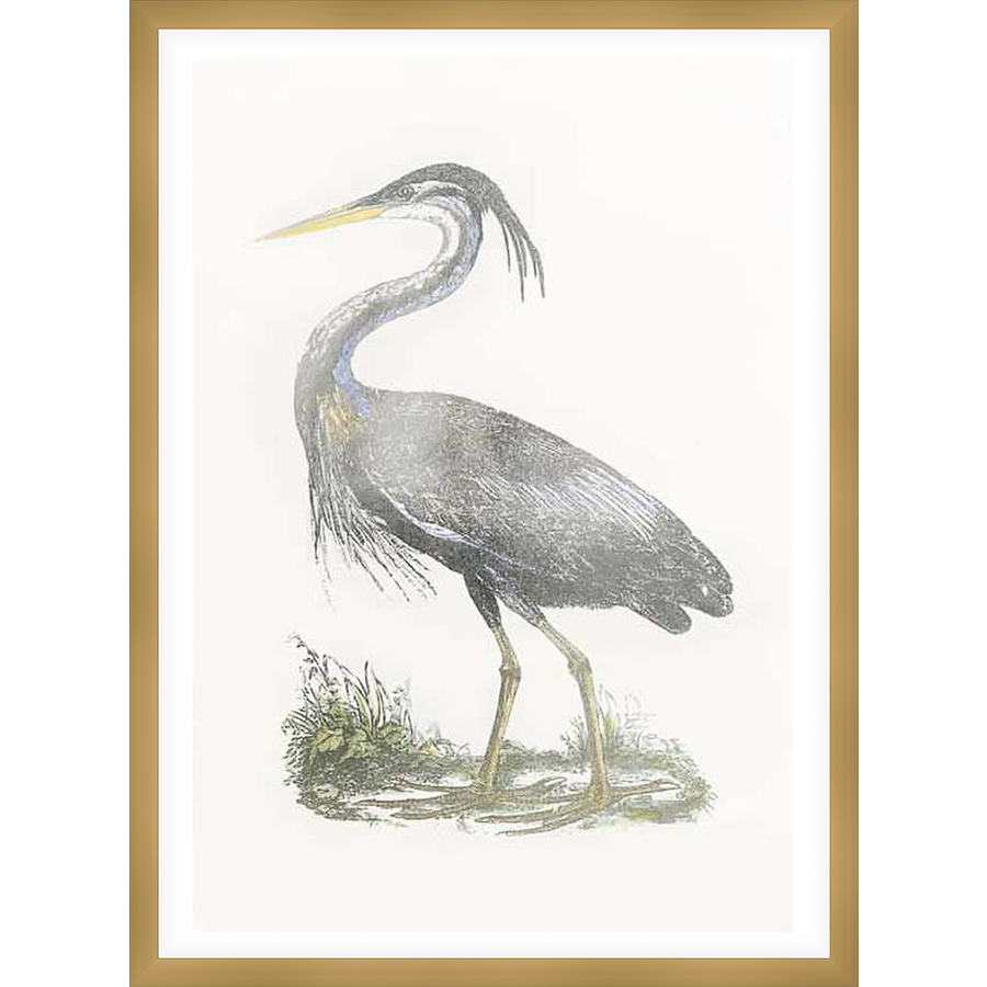 A stunning detailed depiction of a great blue heron, captured with exquisite detail and a delicate aesthetic. This artwork adds an elegant touch of nature-inspired art to any space.