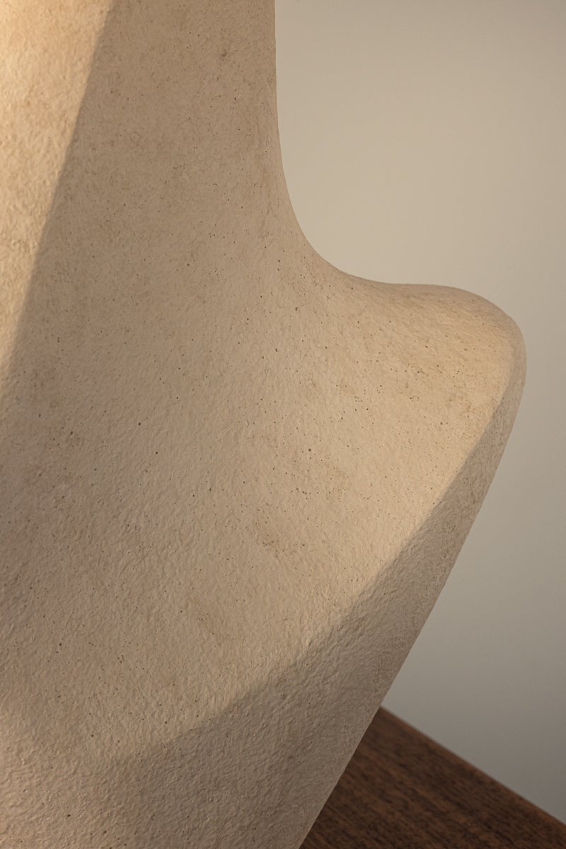 huntly-table-lamp-PTL3727-BRZ/CIB-3