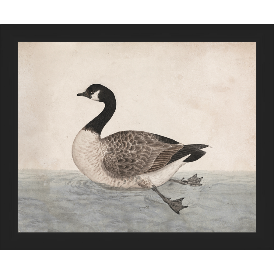 VINTAGE GOOSE - Kings Fine Art & Decor