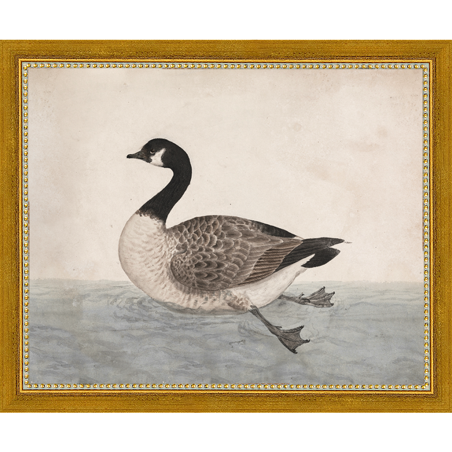 SA009-VINTAGE GOOSE Hand framed in a transitional gold frame. Finished Size: W 11.25 in x H 9.25 in