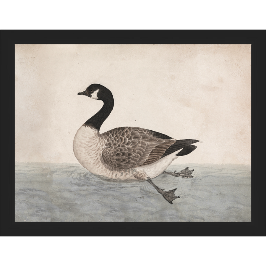 VINTAGE GOOSE - Kings Fine Art & Decor