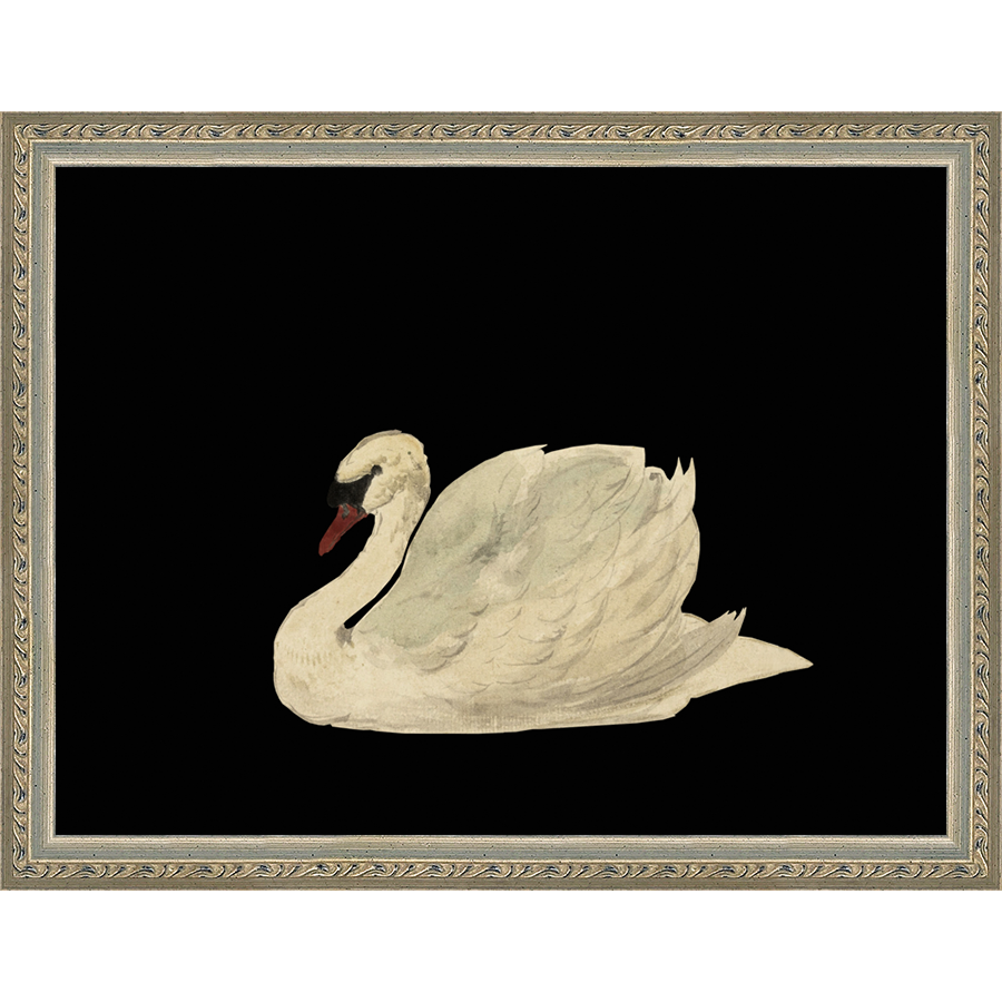 SA026-SWAN ON BLACK FIELD Hand framed in an ornate dark silver frame. Finished Size: W 13.25 in x H 10.25 in