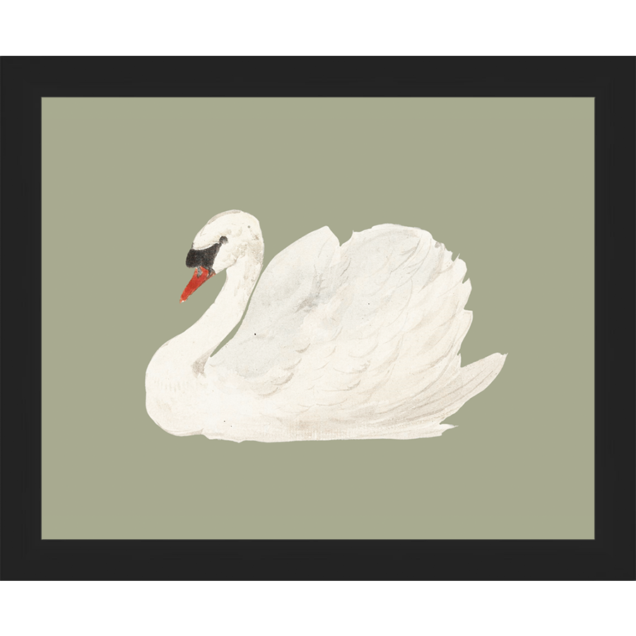 SA045-SWAN ON CELADON FIELD Hand framed in a matte black frame. Finished Size: W 11.25 in x H 9.25 in