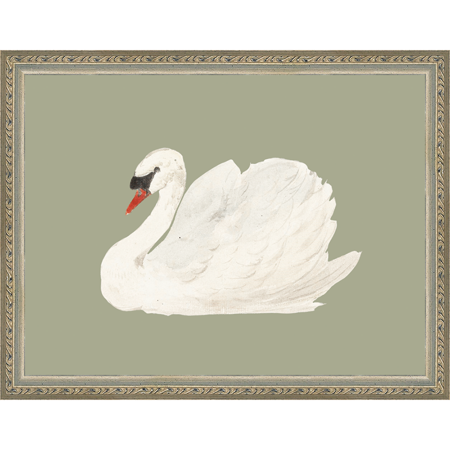 SA045-SWAN ON CELADON FIELD Hand framed in an ornate dark silver frame. Finished Size: W 13.25 in x H 10.25 in