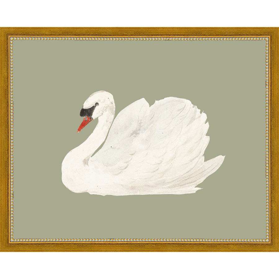 SWAN ON CELADON FIELD - Kings Fine Art & Decor