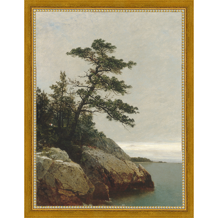 LONELY PINE - Kings Fine Art & Decor