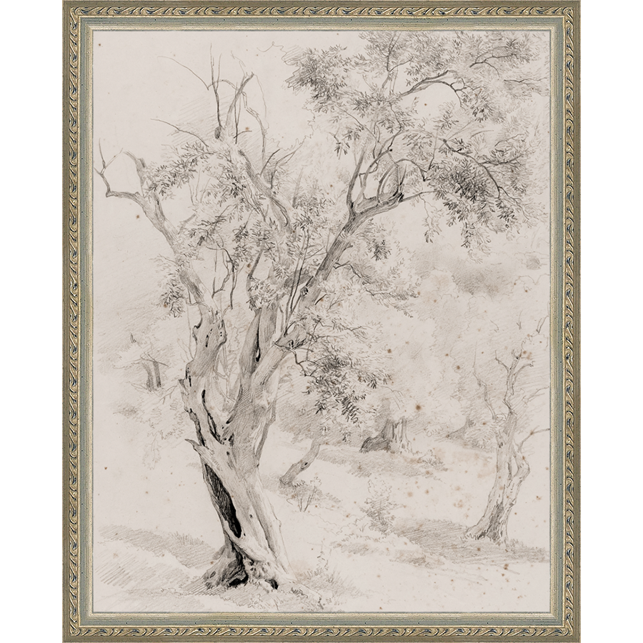 VINTAGE OLIVE TREE - Kings Fine Art & Decor