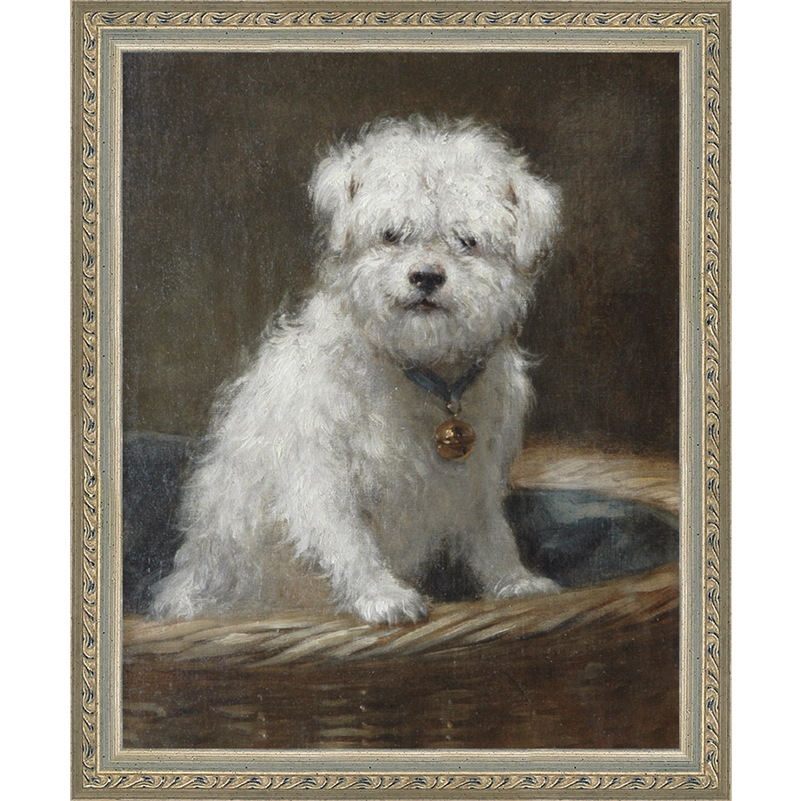 WHITE PUPPY - Kings Fine Art & Decor