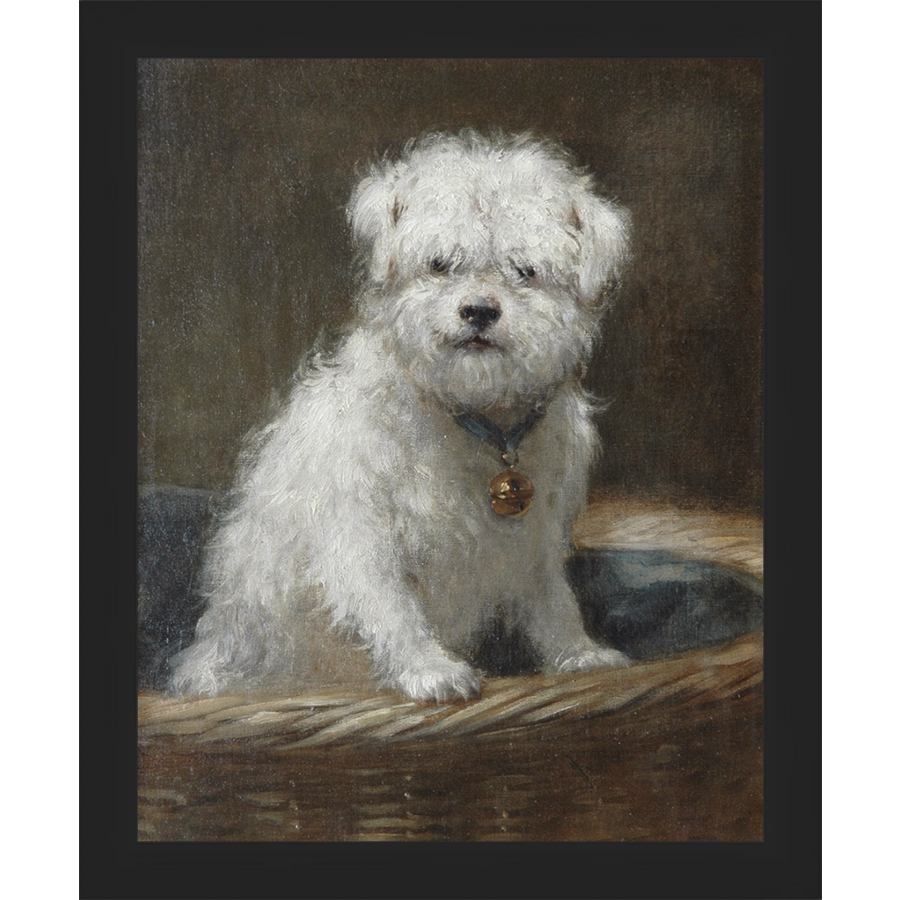 WHITE PUPPY - Kings Fine Art & Decor