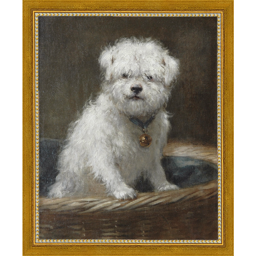 SA083-WHITE PUPPY Hand framed in a transitional gold frame. Finished Size: W 9.25 in x H 11.25 in