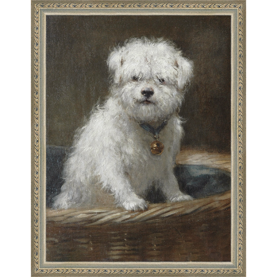 WHITE PUPPY - Kings Fine Art & Decor