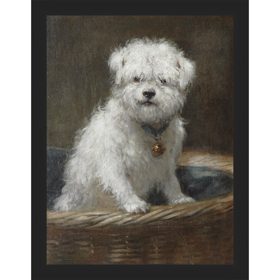 SA083-WHITE PUPPY Hand framed in a matte black frame. Finished Size: W 10.25 in x H 13.25 in