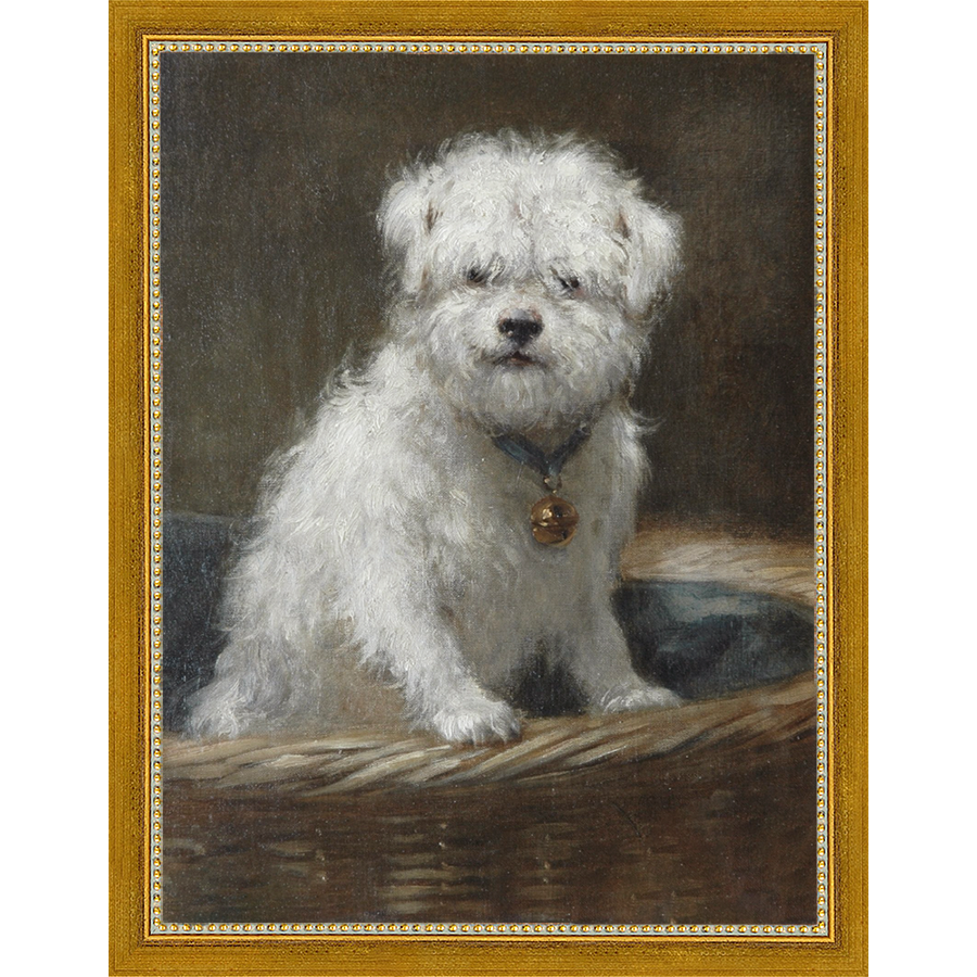 SA083-WHITE PUPPY Hand framed in a transitional gold frame. Finished Size: W 10.25 in x H 13.25 in