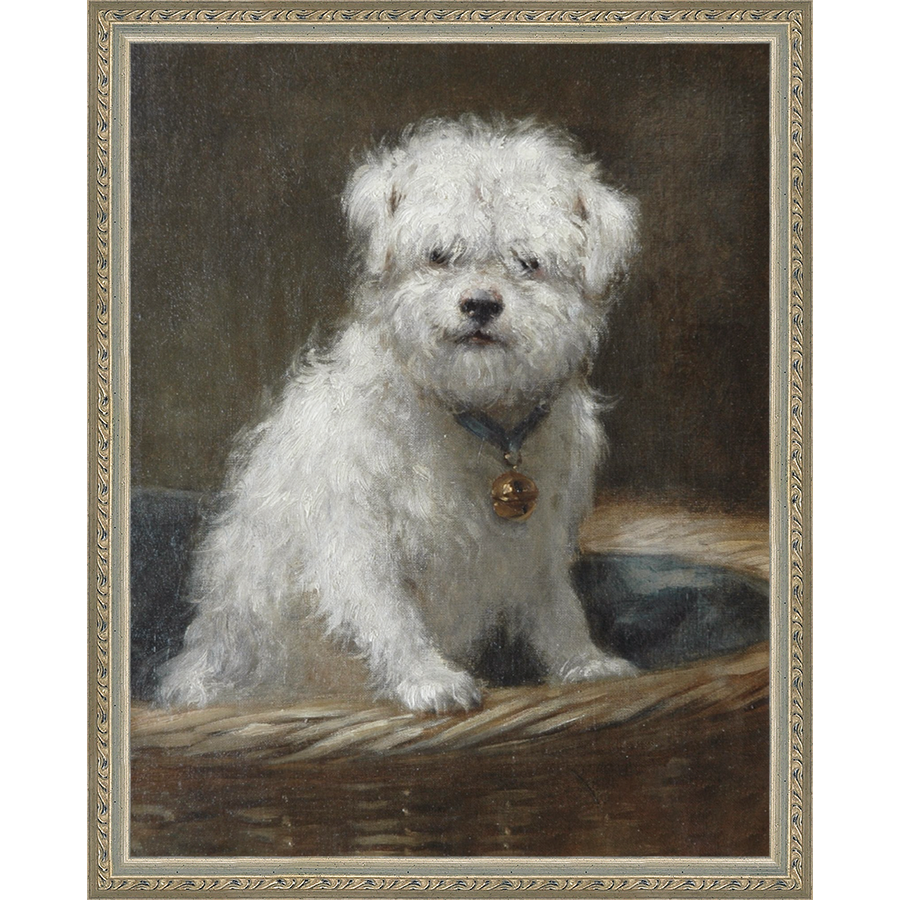 WHITE PUPPY - Kings Fine Art & Decor