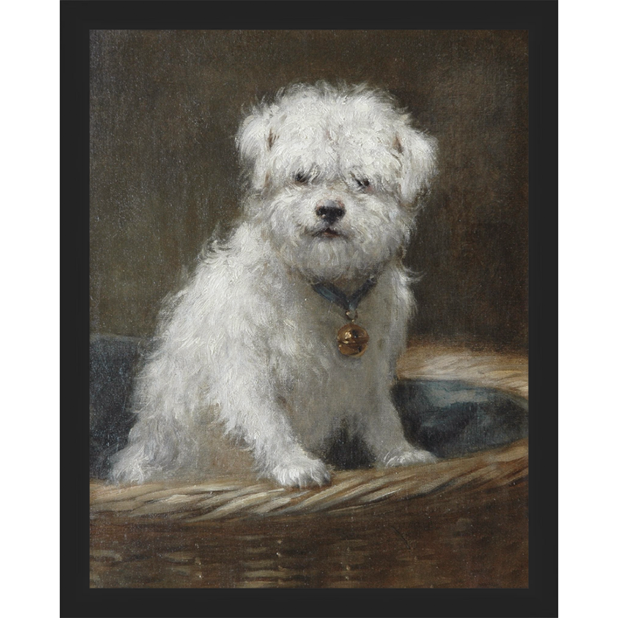 WHITE PUPPY - Kings Fine Art & Decor