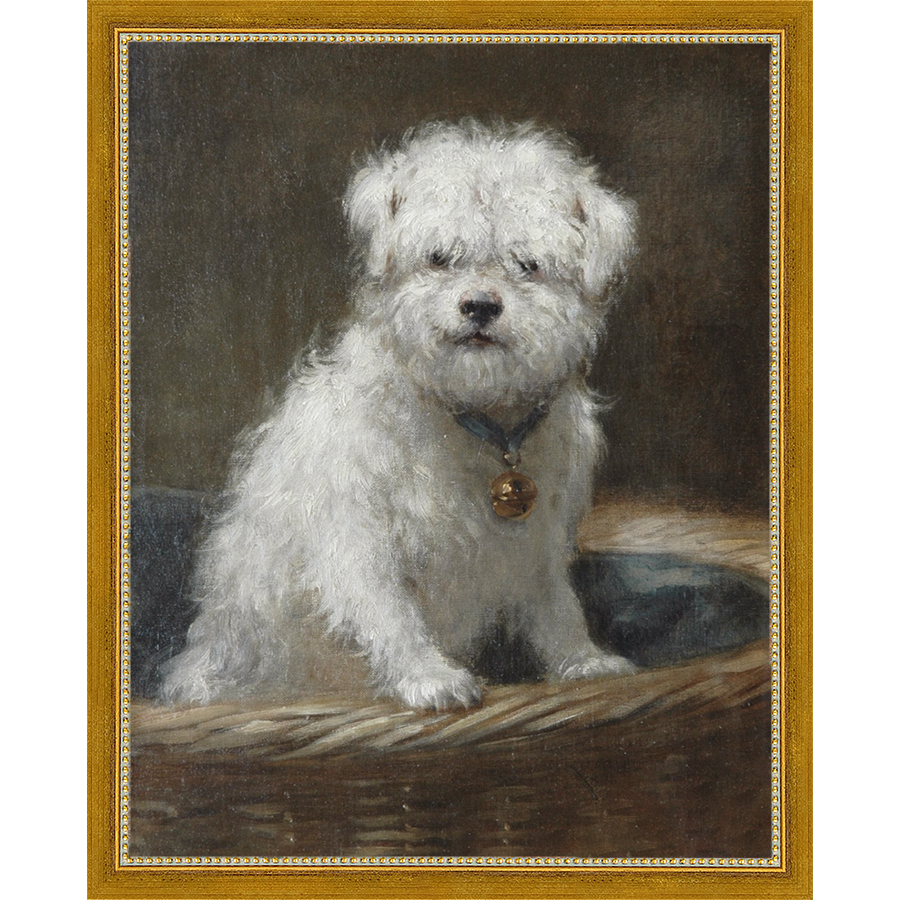 SA083-WHITE PUPPY Hand framed in a transitional gold frame. Finished Size: W 12.25 in x H 15.25 in