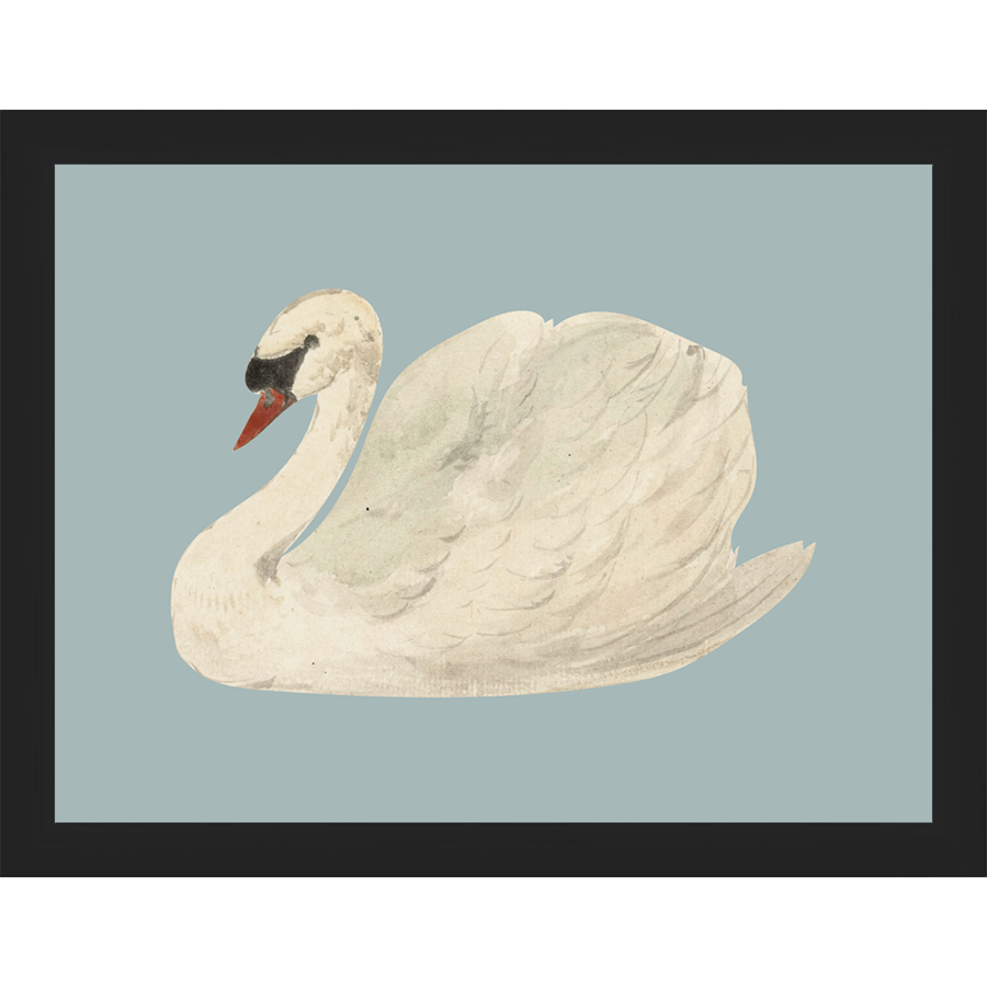 SWAN ON BLUE FIELD - Kings Fine Art & Decor