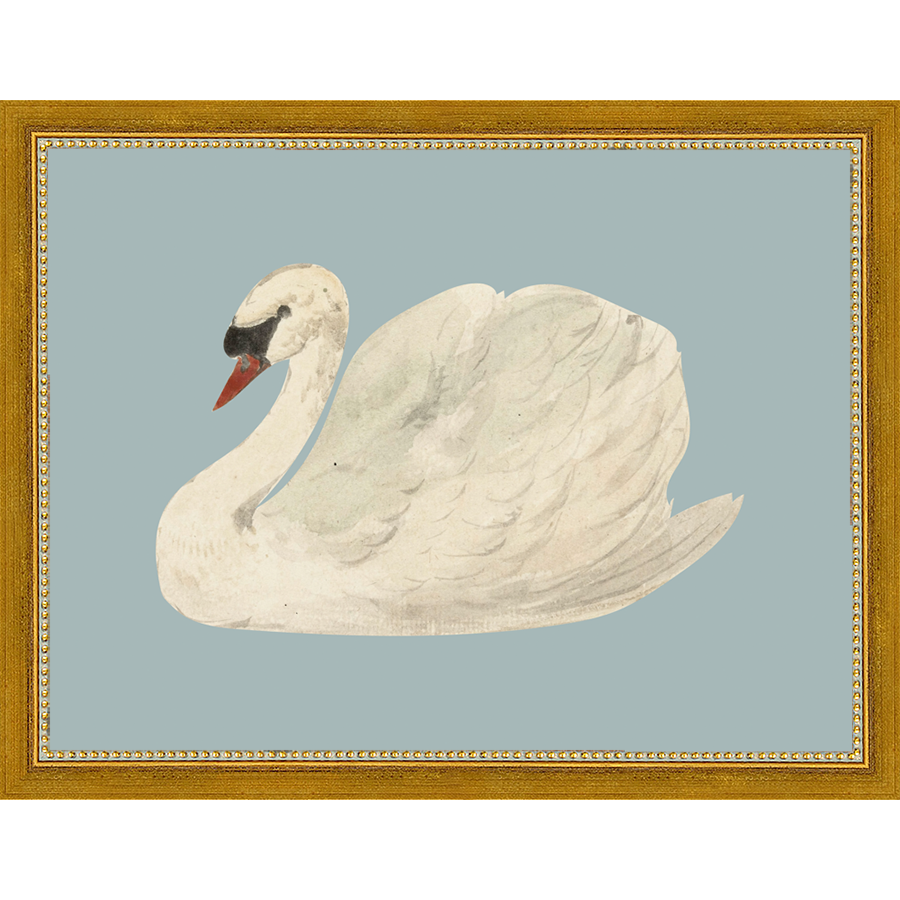 SWAN ON BLUE FIELD - Kings Fine Art & Decor