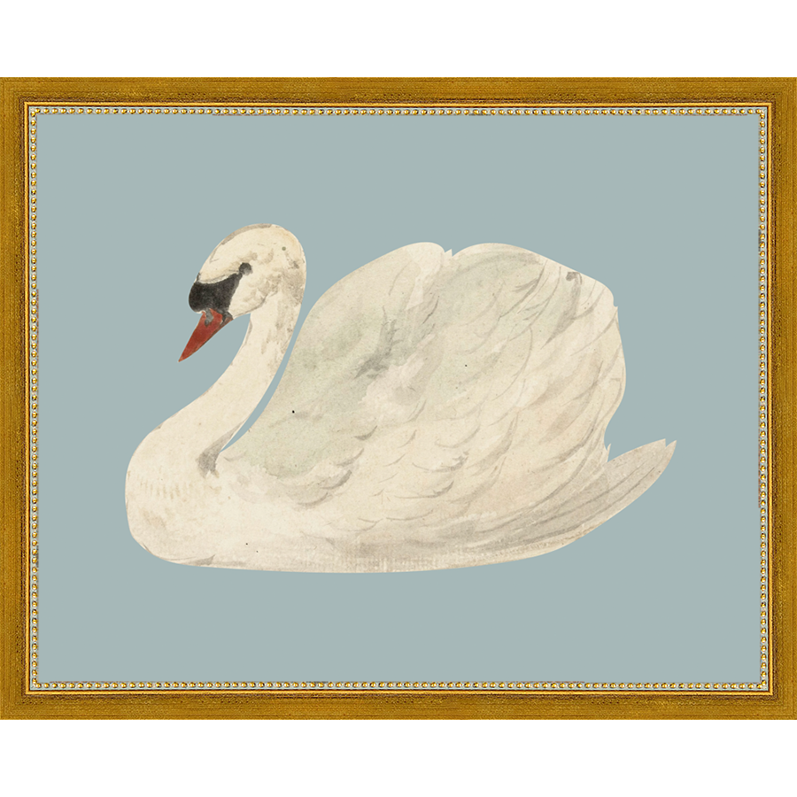SA127-SWAN ON BLUE FIELD Hand framed in a transitional gold frame. Finished Size: W 15.25 in x H 12.25 in