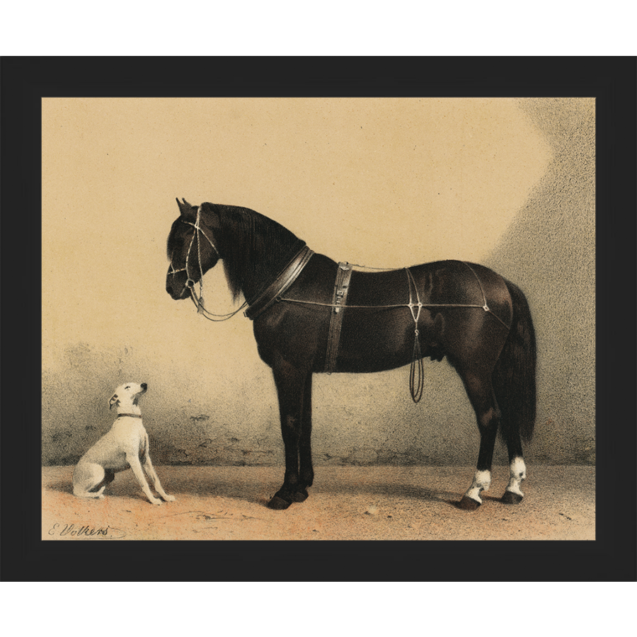 SA135-HORSE AND DOG Hand framed in a matte black frame. Finished Size: W 11.25 in x H 9.25 in