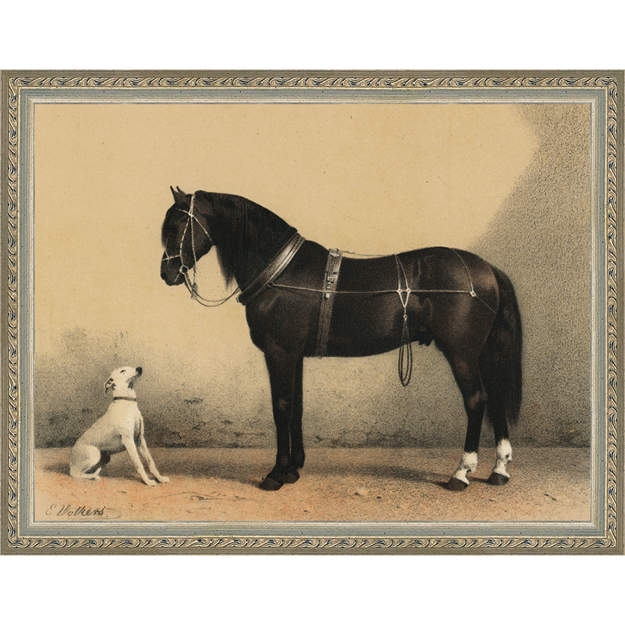 SA135-HORSE AND DOG Hand framed in an ornate dark silver frame. Finished Size: W 13.25 in x H 10.25 in