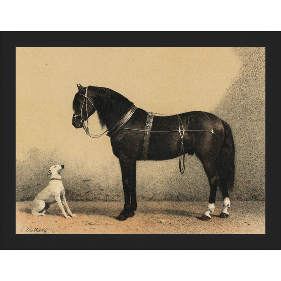 SA135-HORSE AND DOG Hand framed in a matte black frame. Finished Size: W 13.25 in x H 10.25 in
