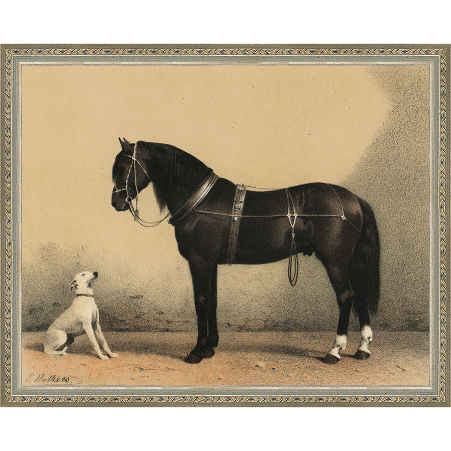 SA135-HORSE AND DOG Hand framed in an ornate dark silver frame. Finished Size: W 15.25 in x H 12.25 in