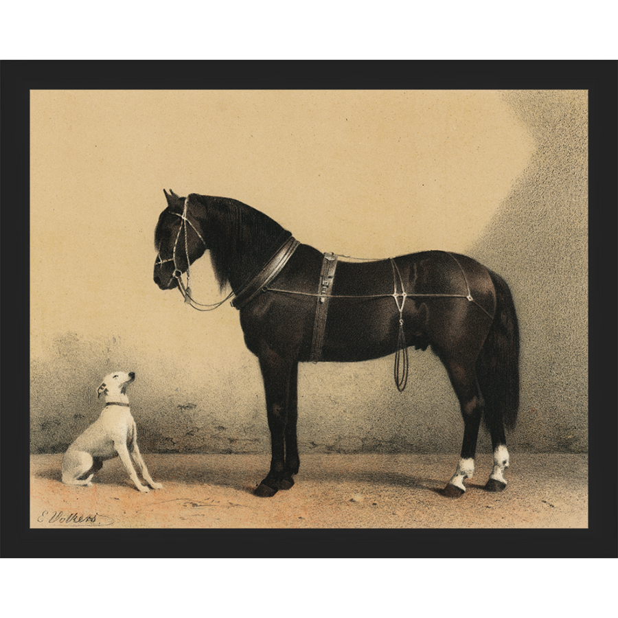 SA135-HORSE AND DOG Hand framed in a matte black frame. Finished Size: W 15.25 in x H 12.25 in