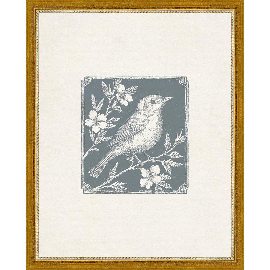 SA322-SONGBIRD I Hand framed in a transitional gold frame. Finished Size: W 12.25 in x H 15.25 in