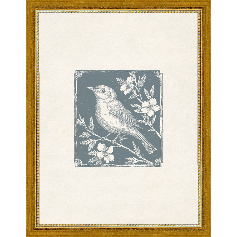 SA323-SONGBIRD II Hand framed in a transitional gold frame. Finished Size: W 10.25 in x H 13.25 in