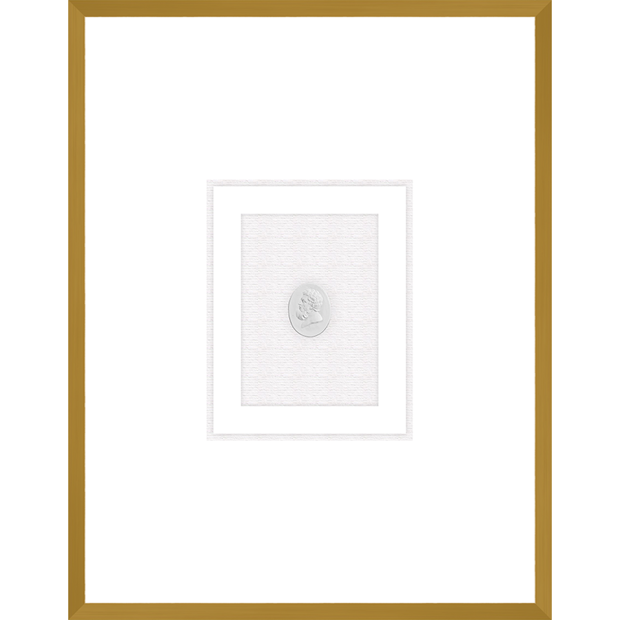 NG014-PHILOSOPHER Shadow Box framed in an antiqued gold frame on a white raglin mat. Finished Size: W 18.00 in x H 23.00 in