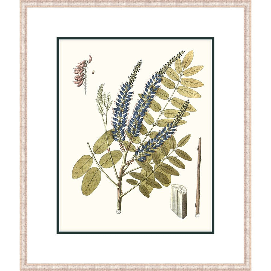 BLUE LUPINE BLOOM - Kings Fine Art & Decor