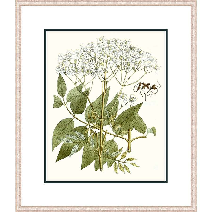 WILDFLOWER BLOOM - Kings Fine Art & Decor