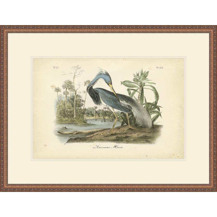 AUDUBON LOUISIANA HERON - Kings Fine Art & Decor