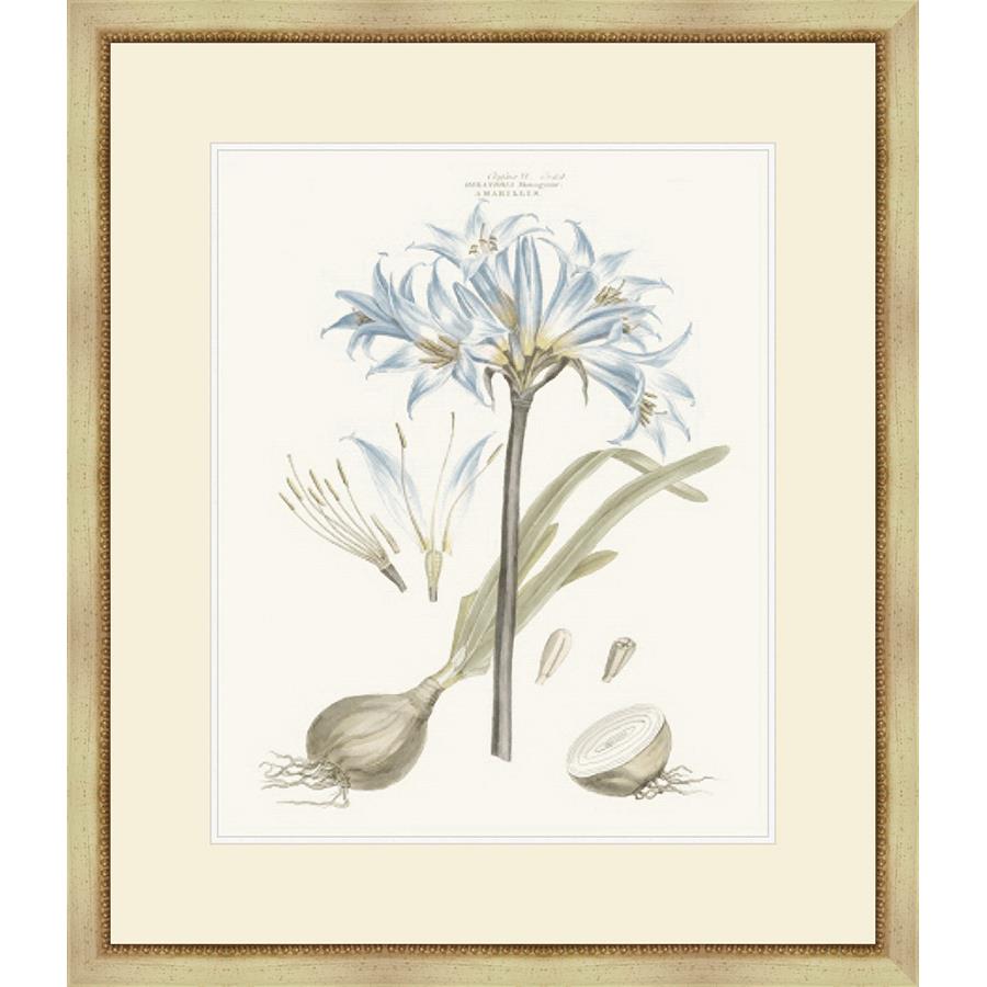 BASHFUL BLUE FLORALS II - Kings Fine Art & Decor