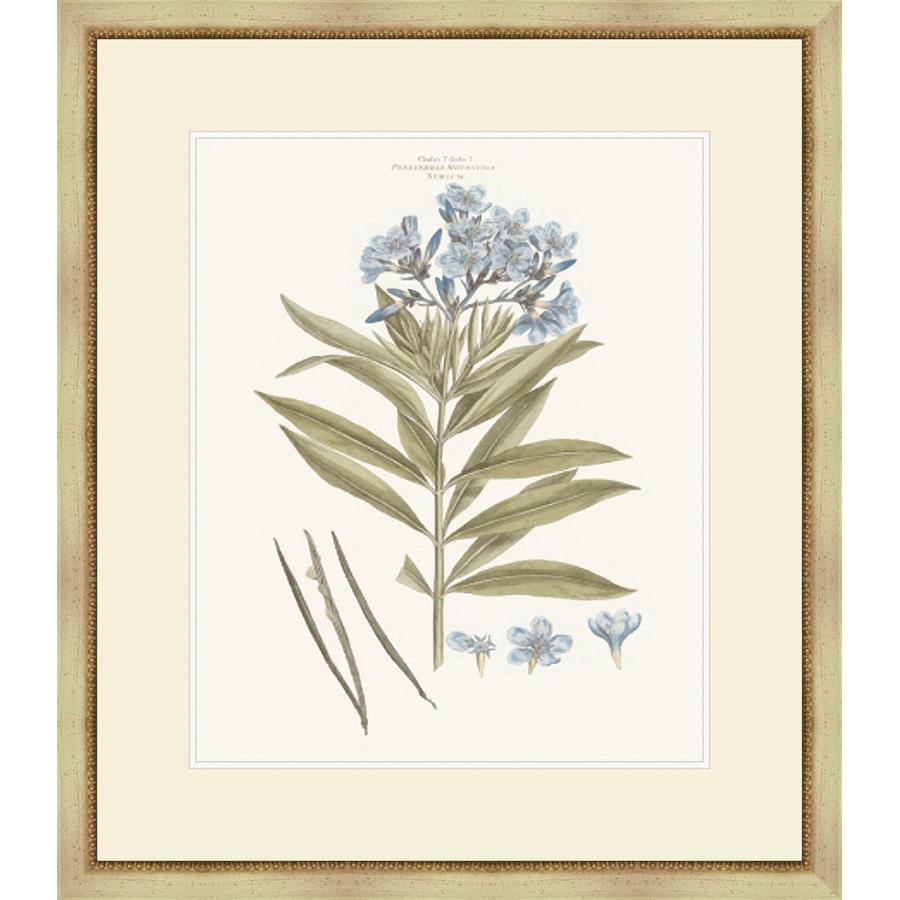 BASHFUL BLUE FLORALS III - Kings Fine Art & Decor