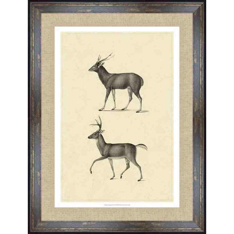 VINTAGE DEER II - Kings Fine Art & Decor