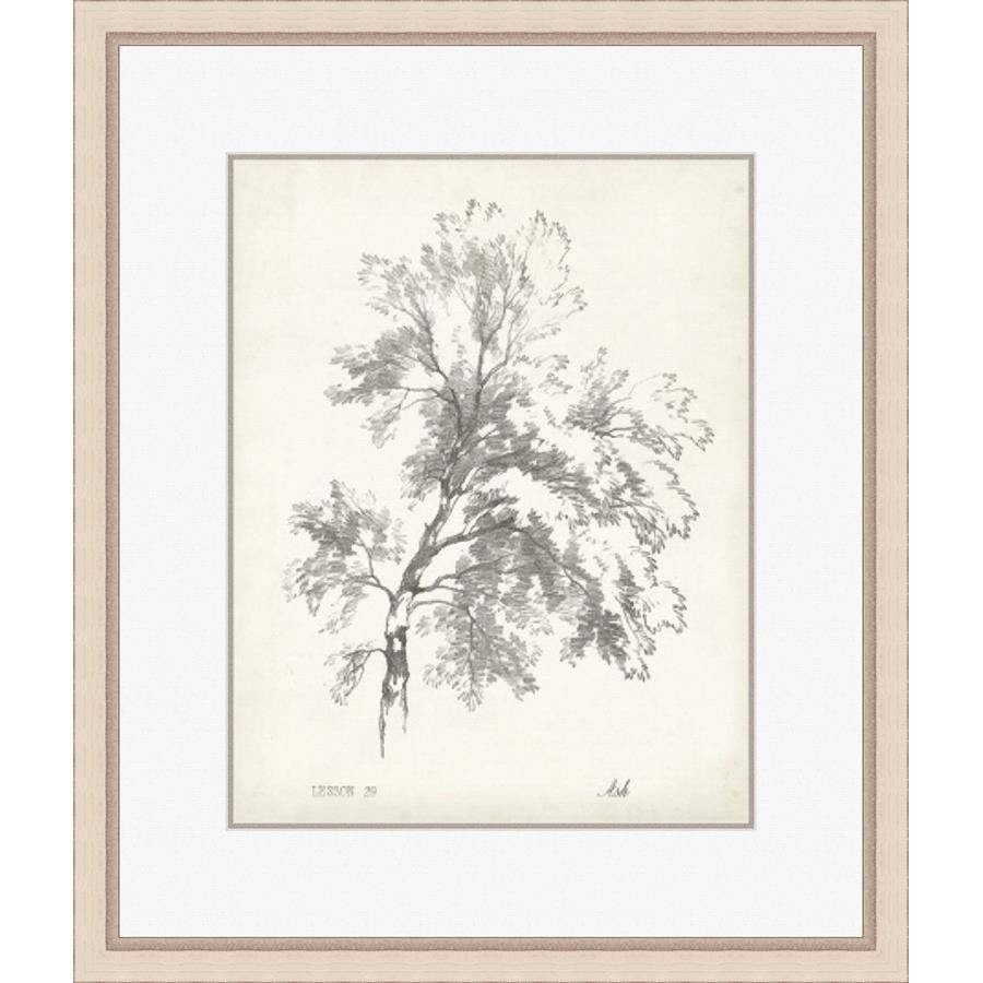 ASH TREE STUDY - Kings Fine Art & Decor
