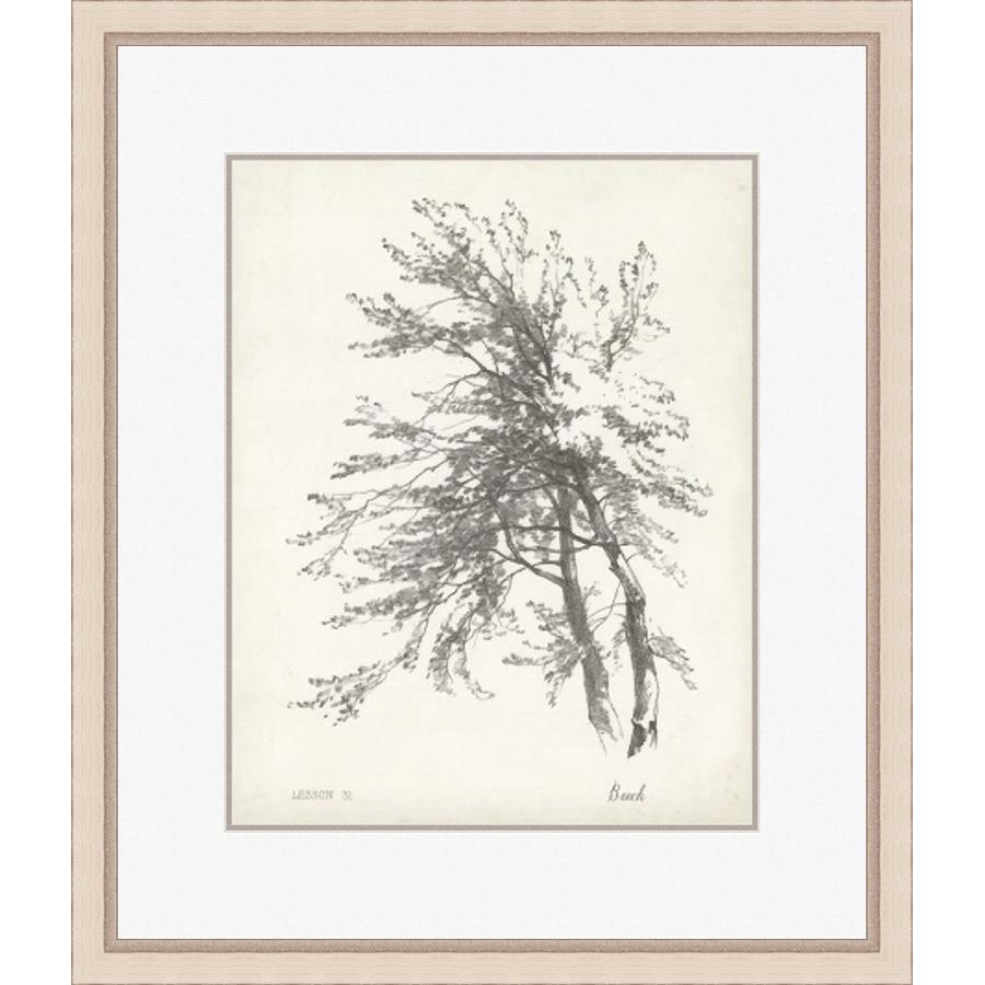 BEECH TREE STUDY - Kings Fine Art & Decor