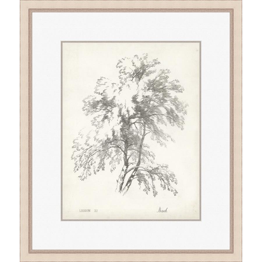 BIRCH TREE STUDY - Kings Fine Art & Decor