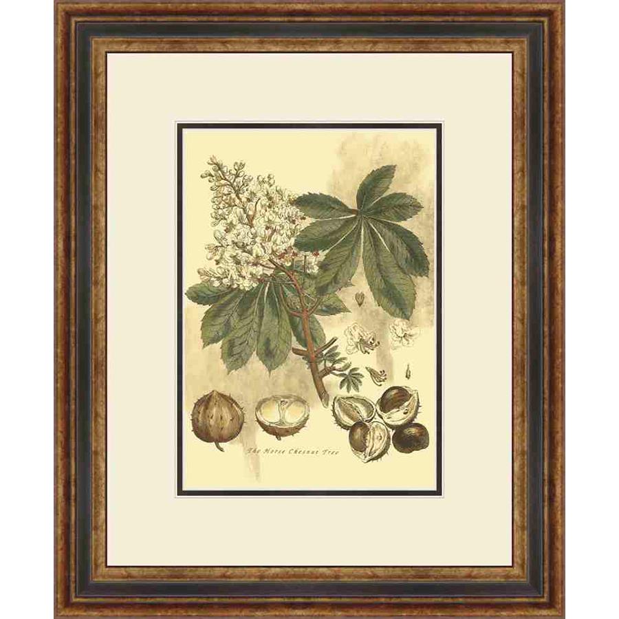 SMALL ANTIQUE HORSE CHESTNUT TREE - Kings Fine Art & Decor