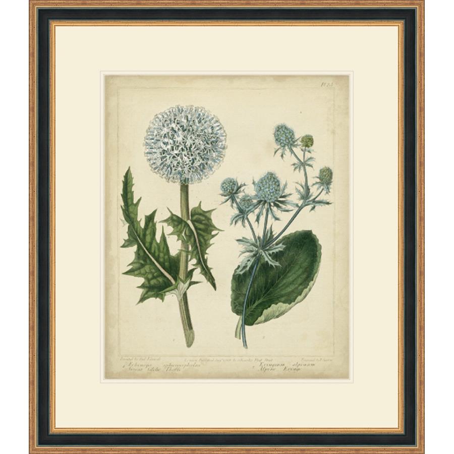 COTTAGE FLORALS III - Kings Fine Art & Decor