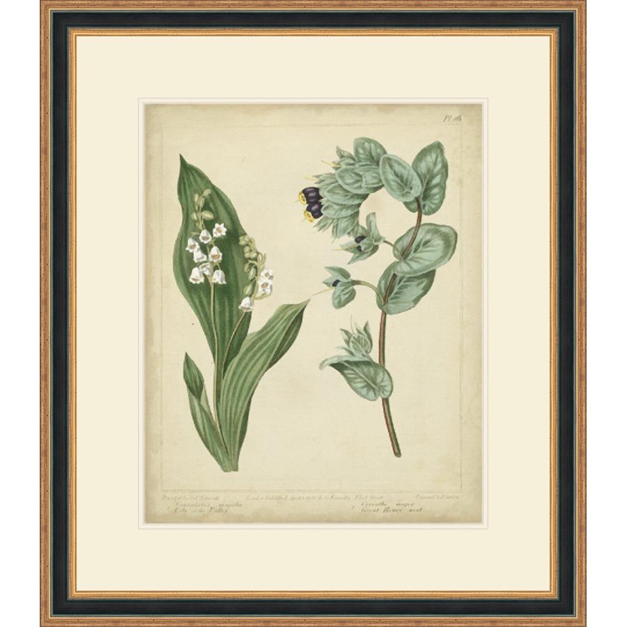 COTTAGE FLORALS IV - Kings Fine Art & Decor