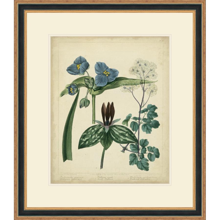 COTTAGE FLORALS V - Kings Fine Art & Decor