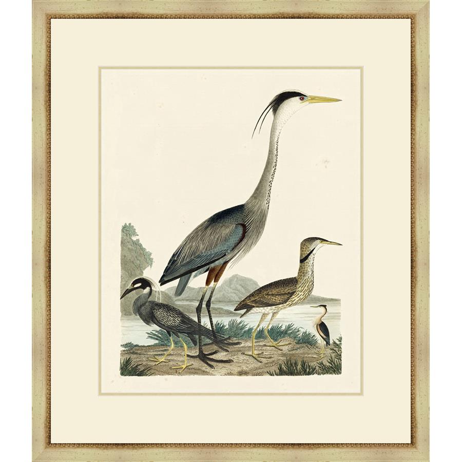 HERON FAMILY I - Kings Fine Art & Decor