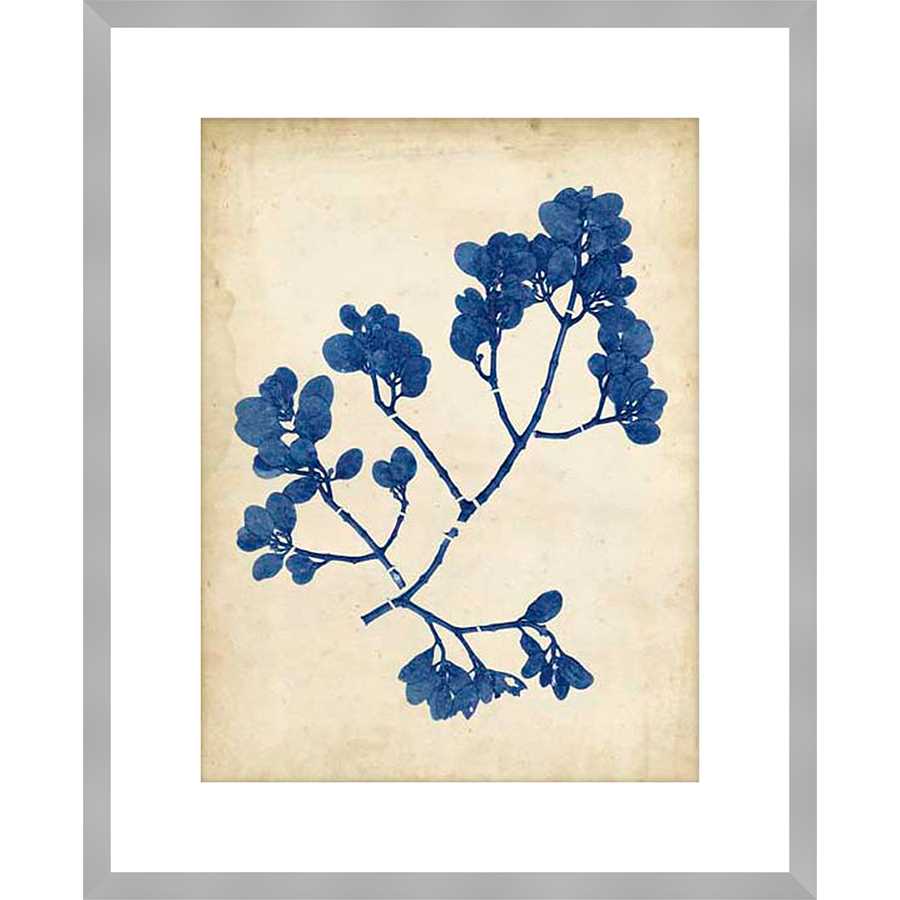 INDIGO LEAF STUDY III - Kings Fine Art & Decor