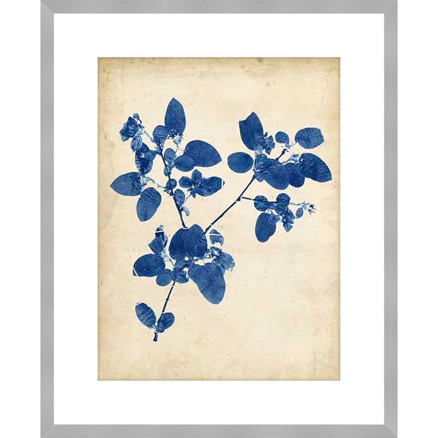 INDIGO LEAF STUDY V - Kings Fine Art & Decor